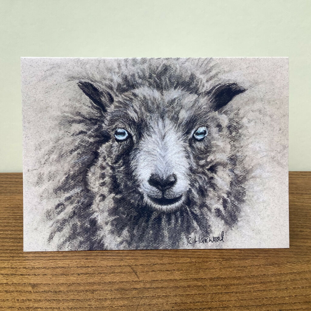 Baa-bara Greeting Card