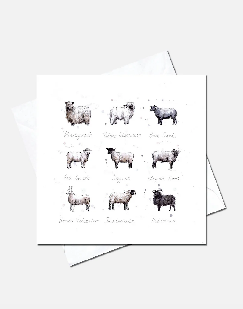 Baa | Greetings Card - Image 2