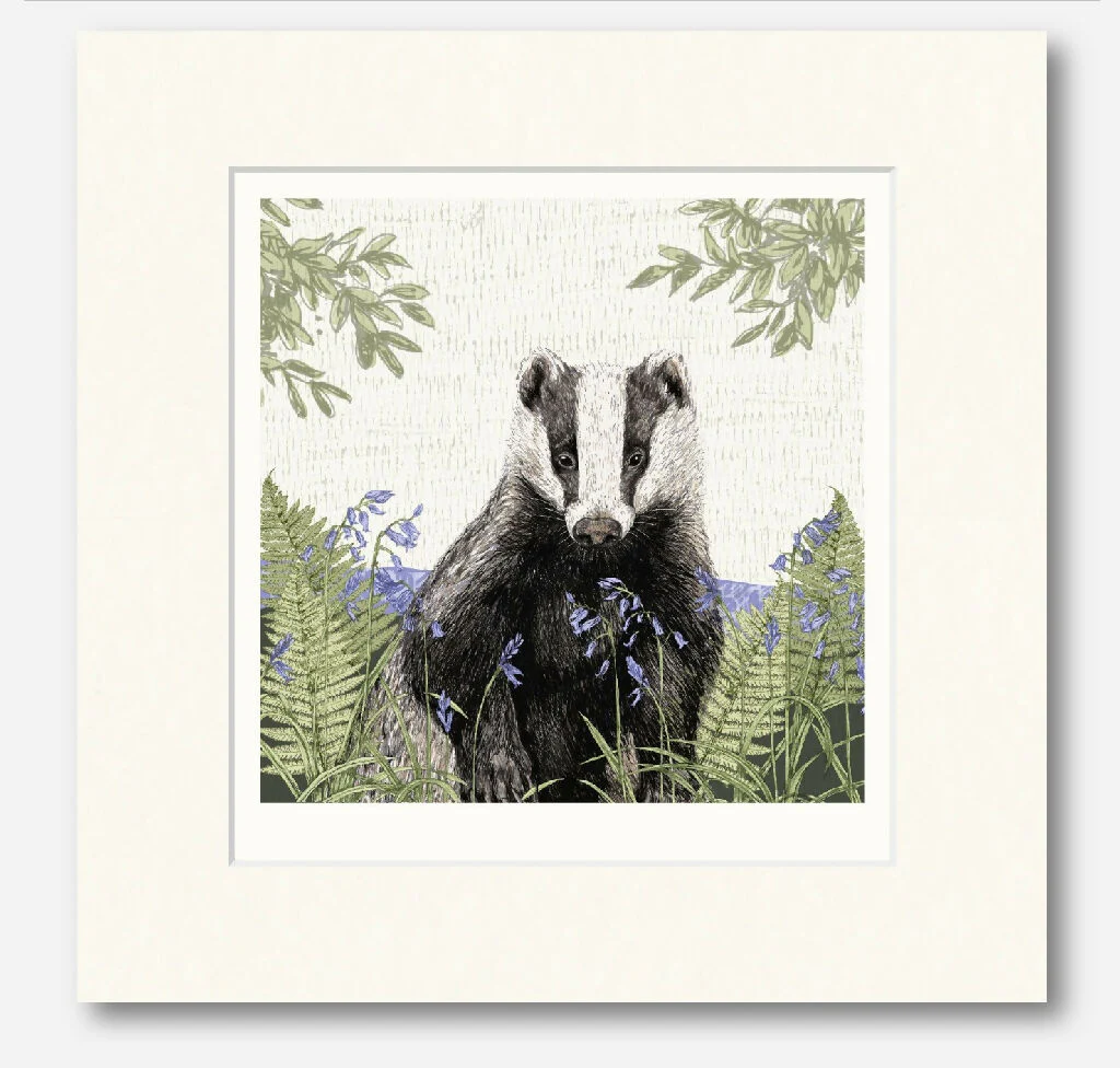 Badger -Signed and mounted Giclée Art Print - Image 3