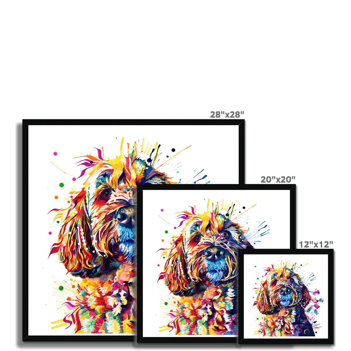 Barney the Cockapoo Framed Print - Image 12
