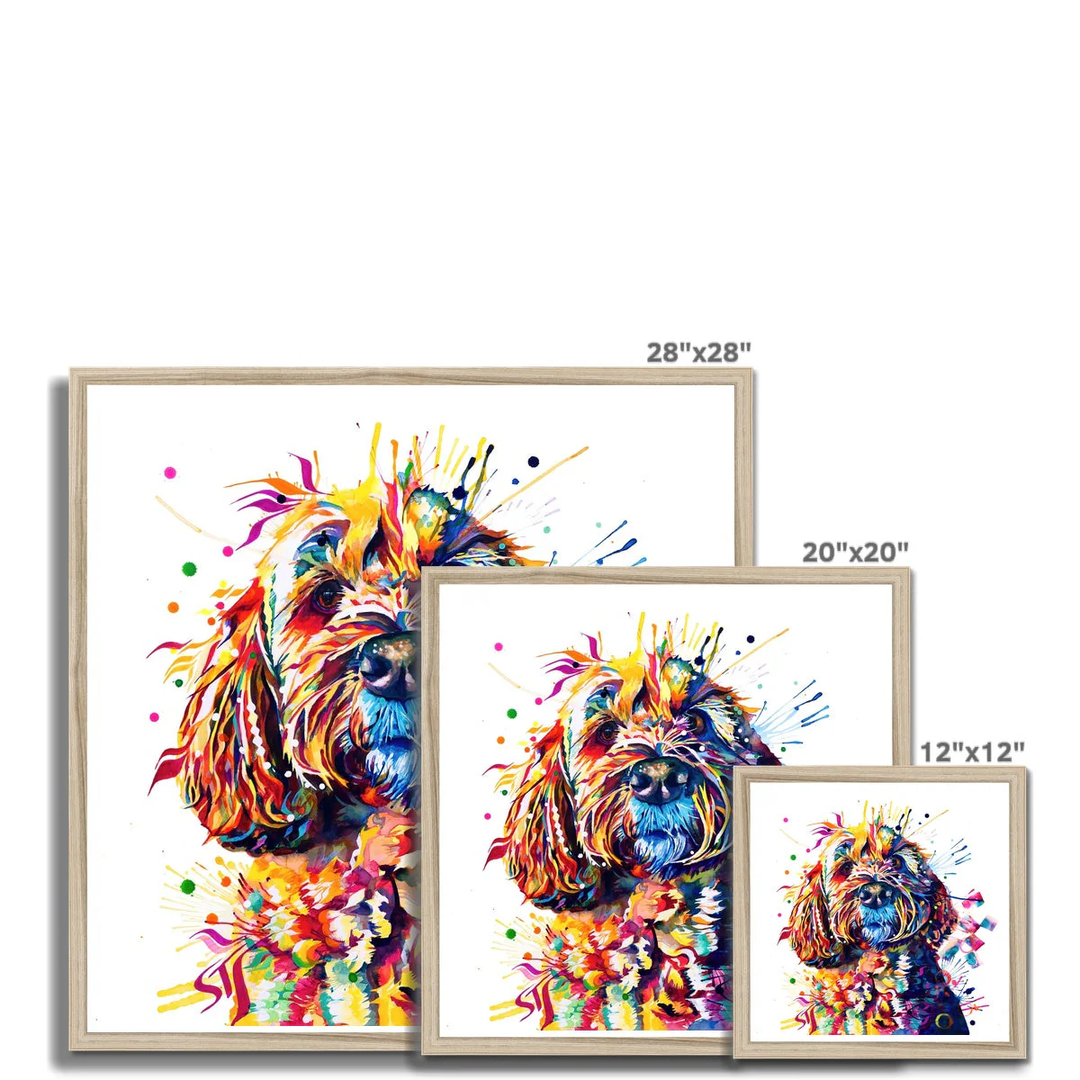Barney the Cockapoo Framed Print - Image 13