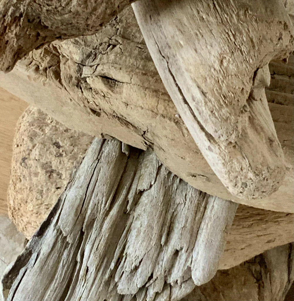 Bespoke Stackpole Driftwood Lamp - Image 3