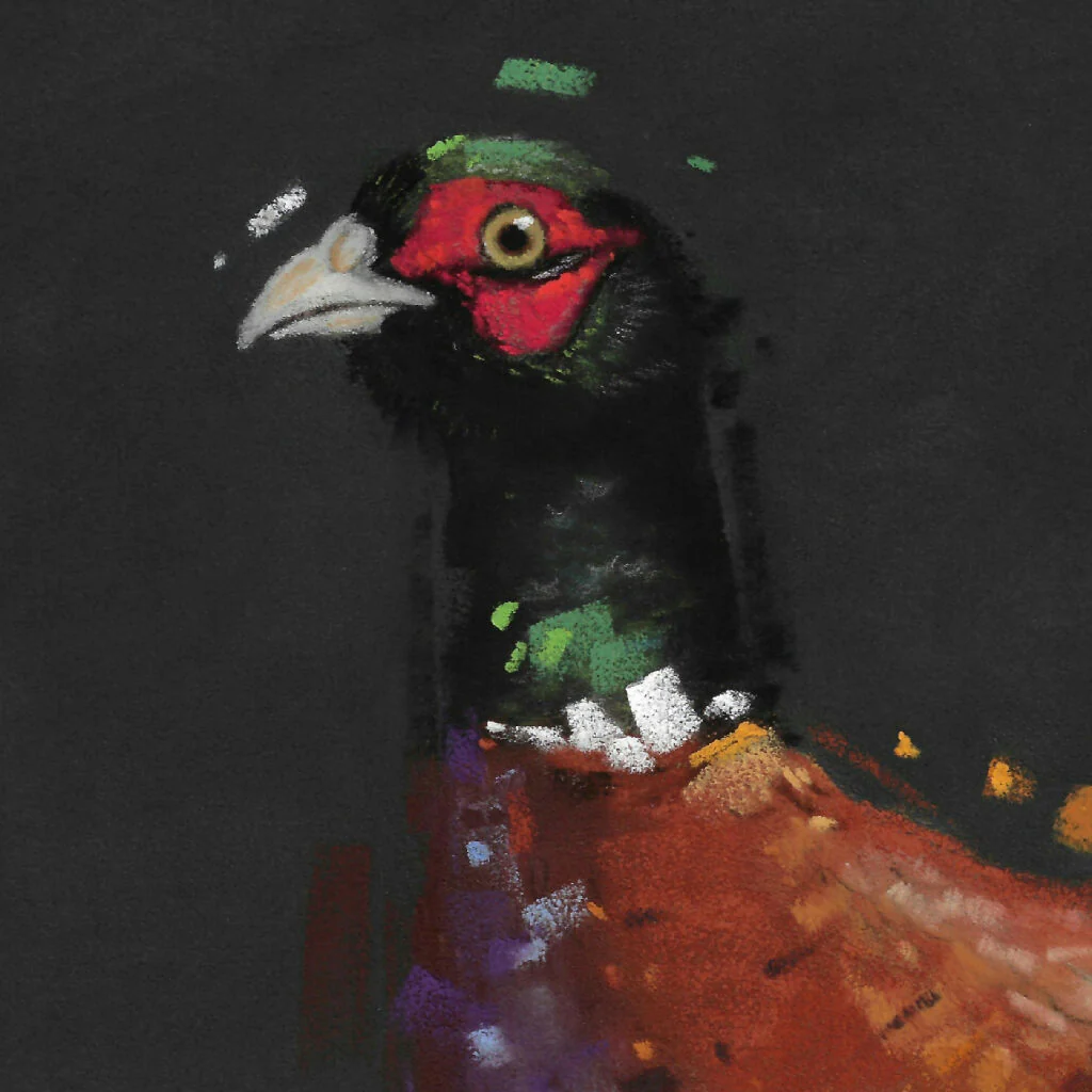 Burnished Gold - Pheasant Giclee Fine Art Print with Green Background - Image 2