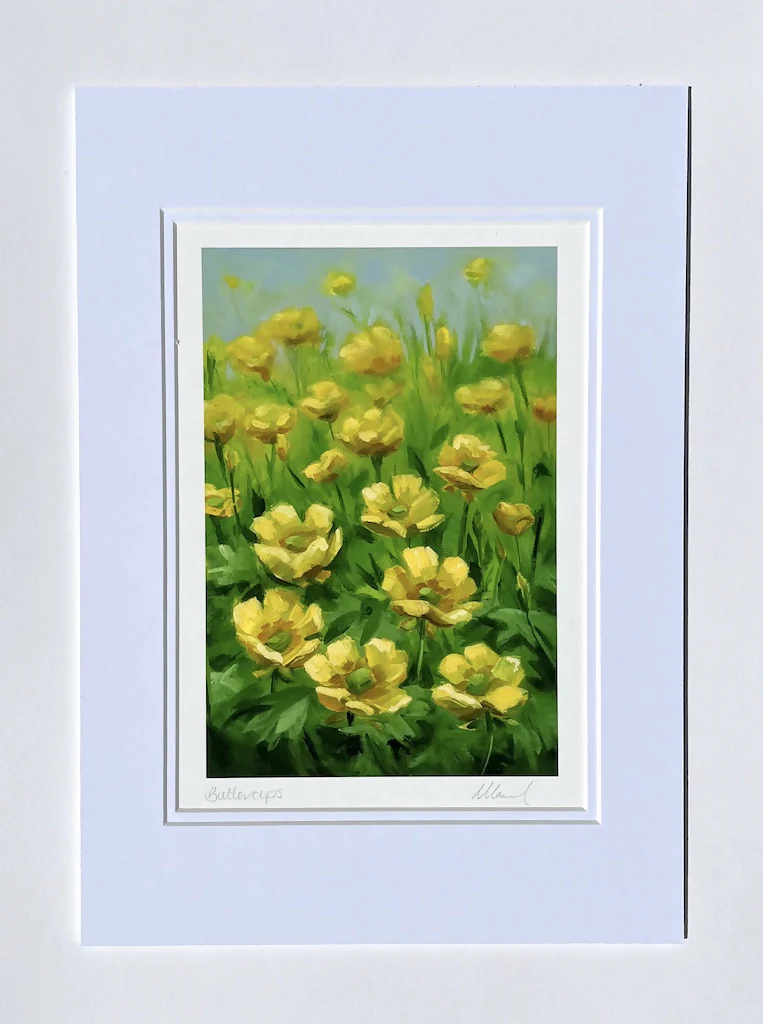 Buttercups Fine Art Print - Image 3