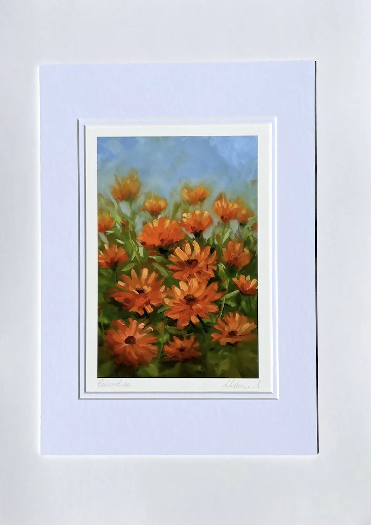 Calendula Fine Art Print - Image 3