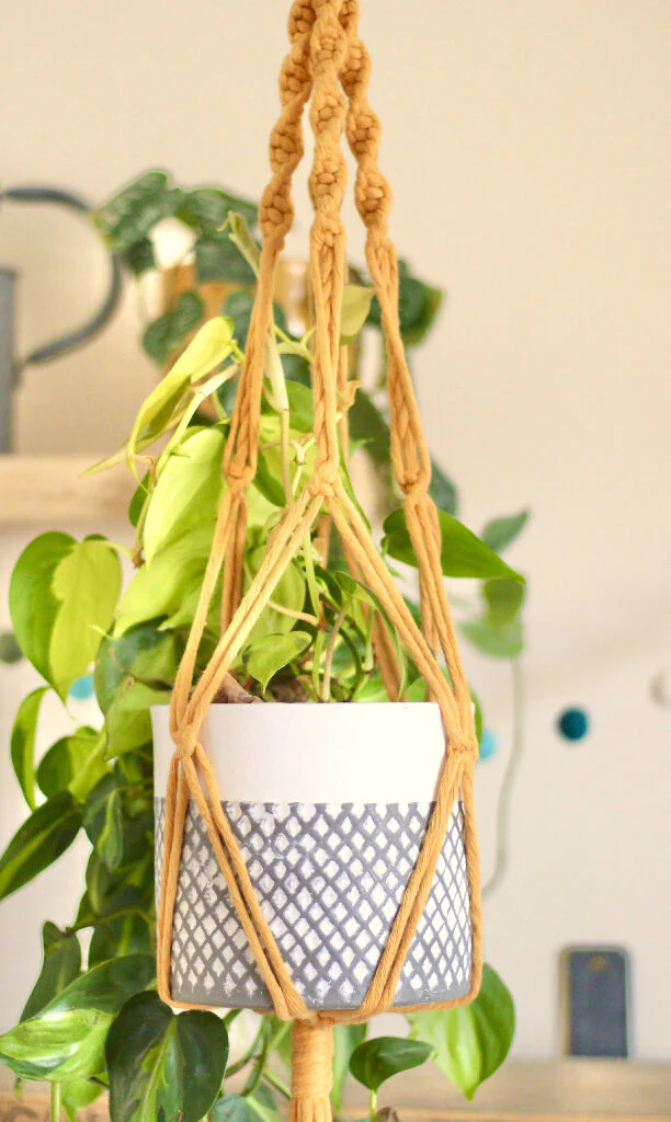 DIY Macrame Plant Hanger Craft Kit - Image 8