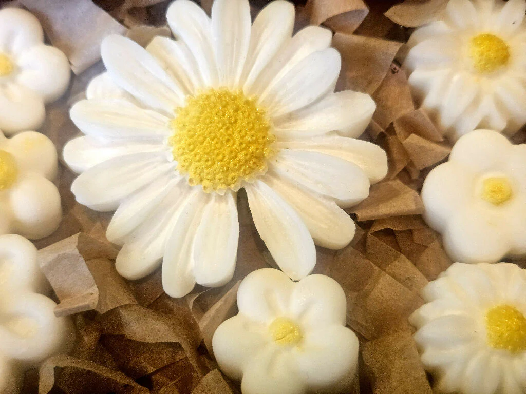 Floral Soy Wax Melt Gift Set – Perfume Inspired, Vegan Friendly - Image 4