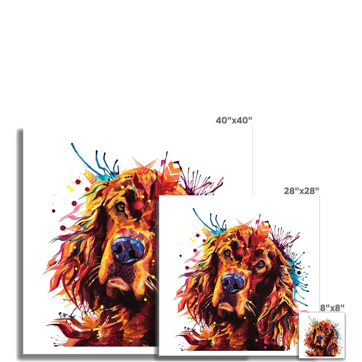 Freddy the Irish Setter Fine Art Print - Image 3
