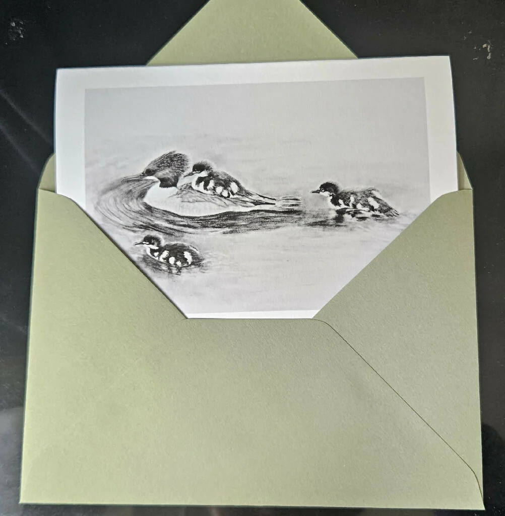 Goosander family greetings card, A6 size, black and white