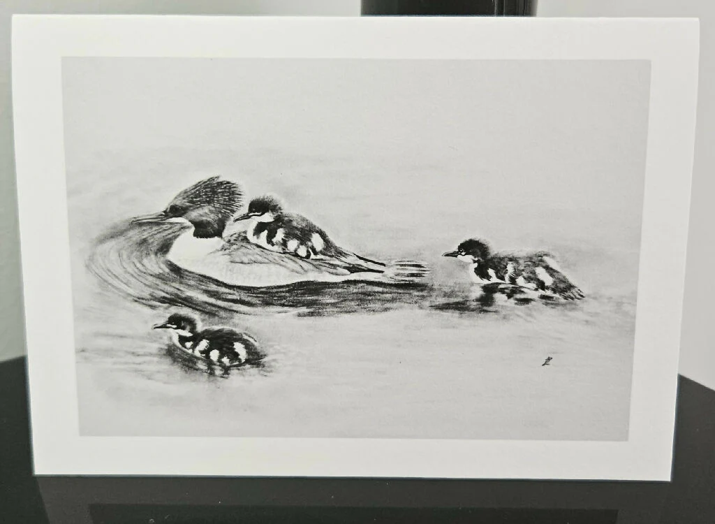 Goosander family greetings card, A6 size, black and white - Image 2