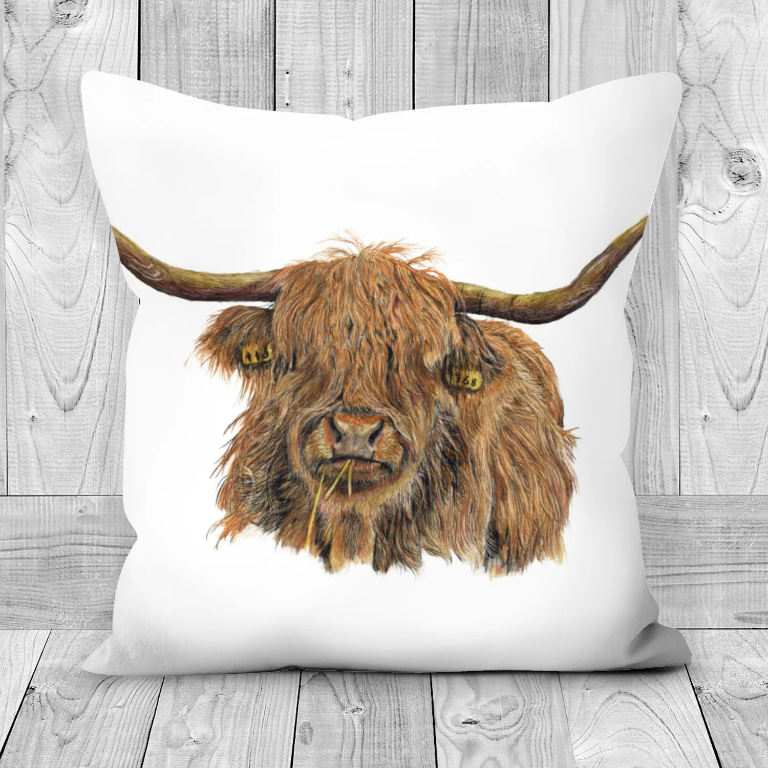 Highland Cow Cushion