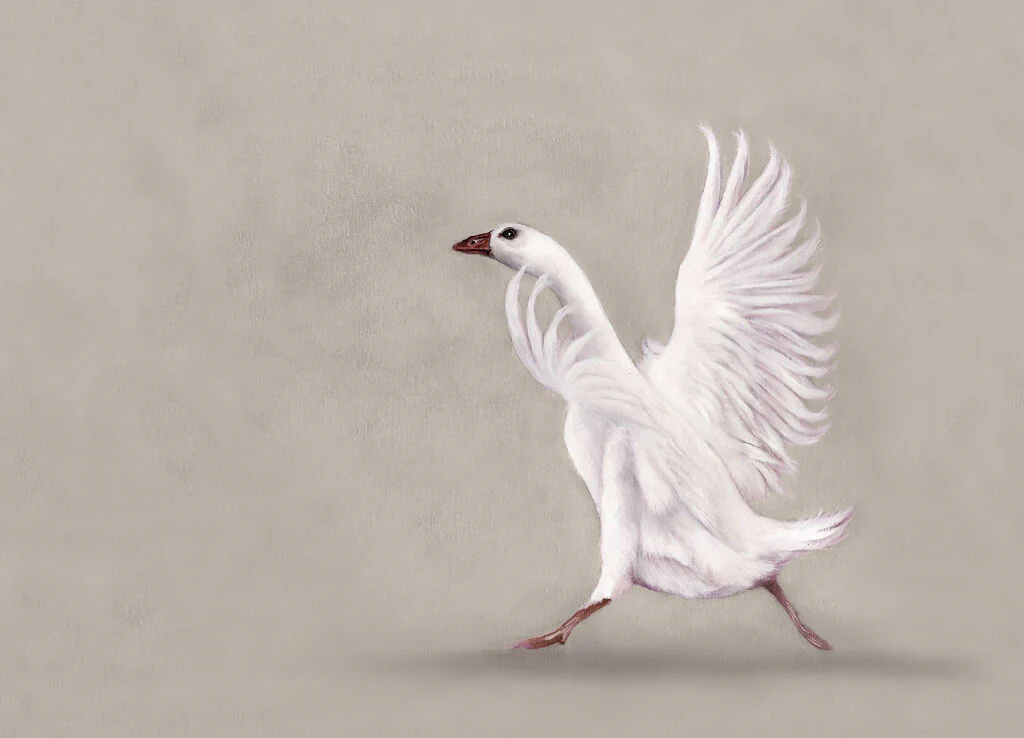 In a Flap - Framed Giclée Print - Image 2