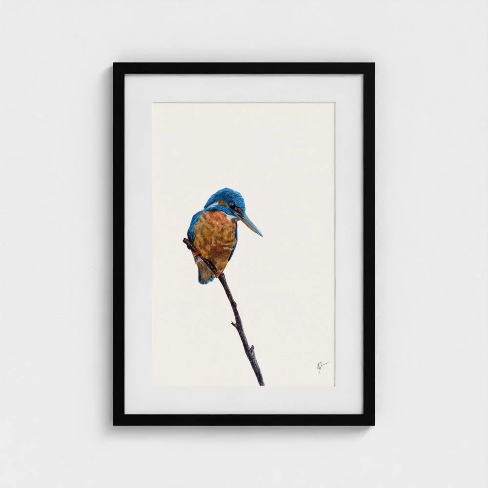 Kingfisher Print - Image 11