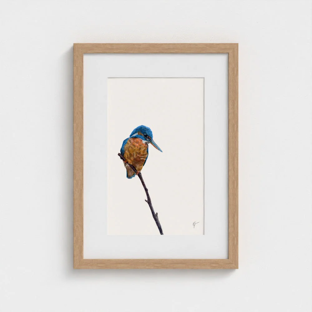 Kingfisher Print - Image 12