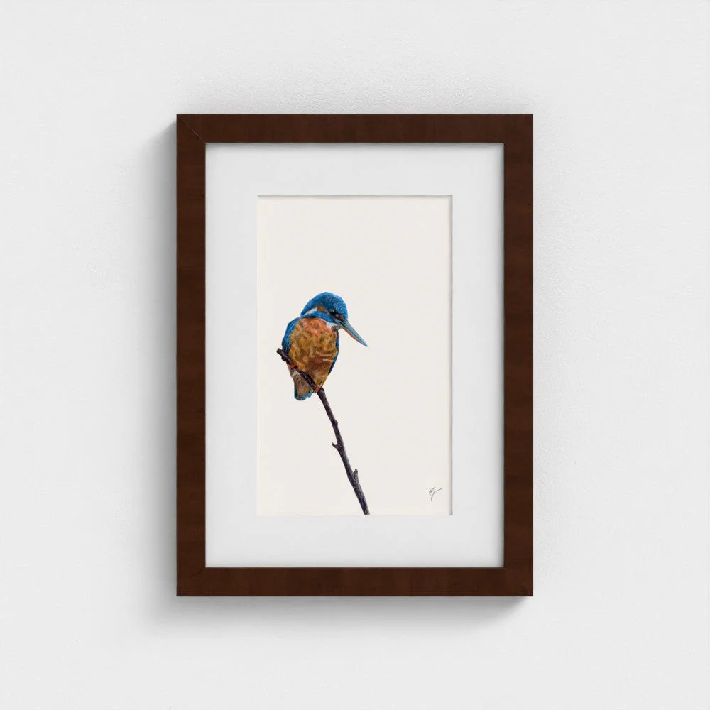 Kingfisher Print - Image 16
