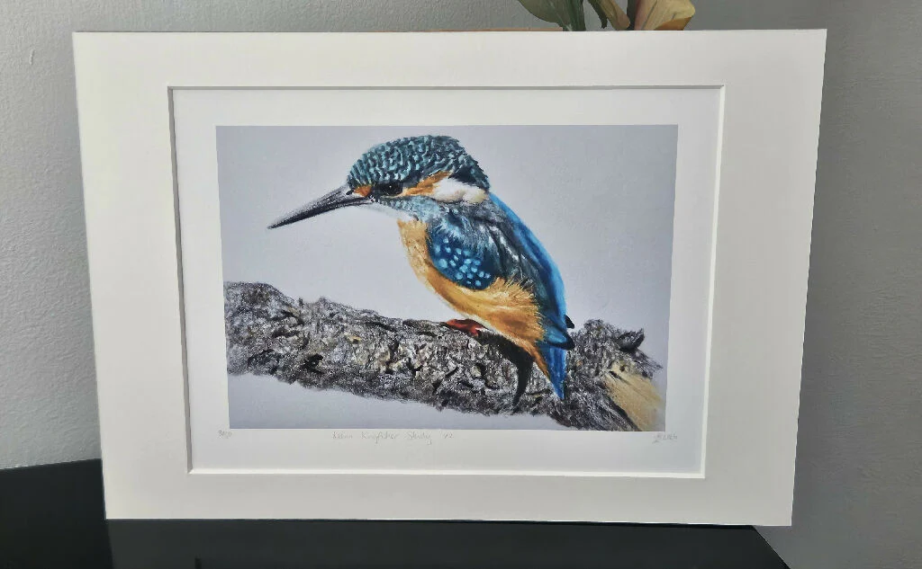Kingfisher Print, Kelvin Kingfisher, limited edition mounted A4 size, vibrant blue and orange