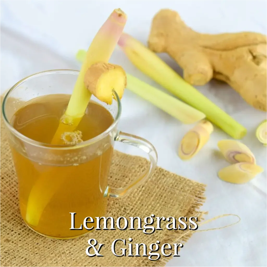 Lemongrass & Ginger Reed Diffuser - Image 4