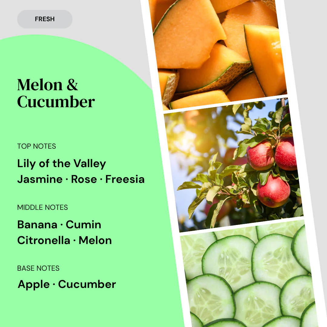 Melon & Cucumber Reed Diffuser - Image 3