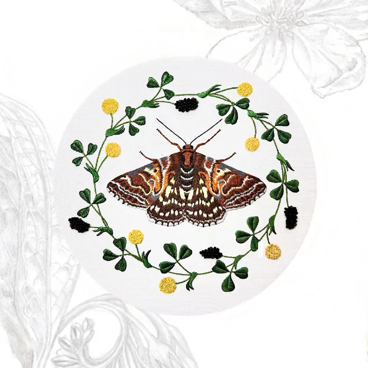 Mother Shipton and Black Medick Silk Shading Embroidery Kit - Image 9