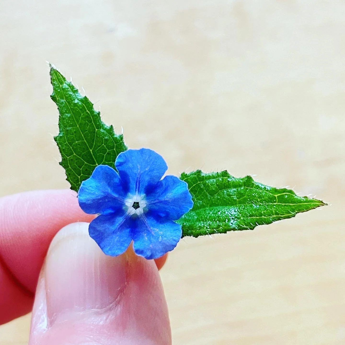 Necklace with flowers in vintage colours - Image 9