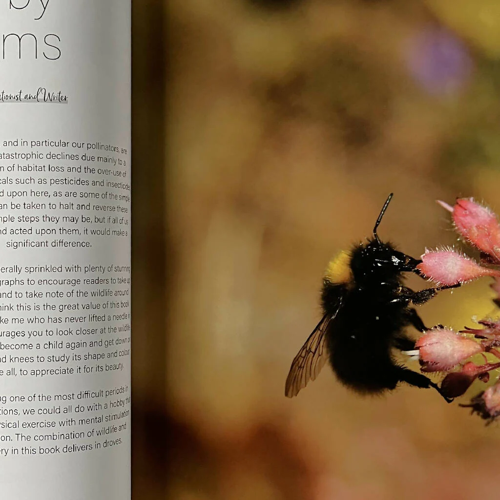 Needlepainted Plants and Pollinators: an insect lover's guide to silk shading embroidery - Embroidery book by Victoria Matthewson - Image 6