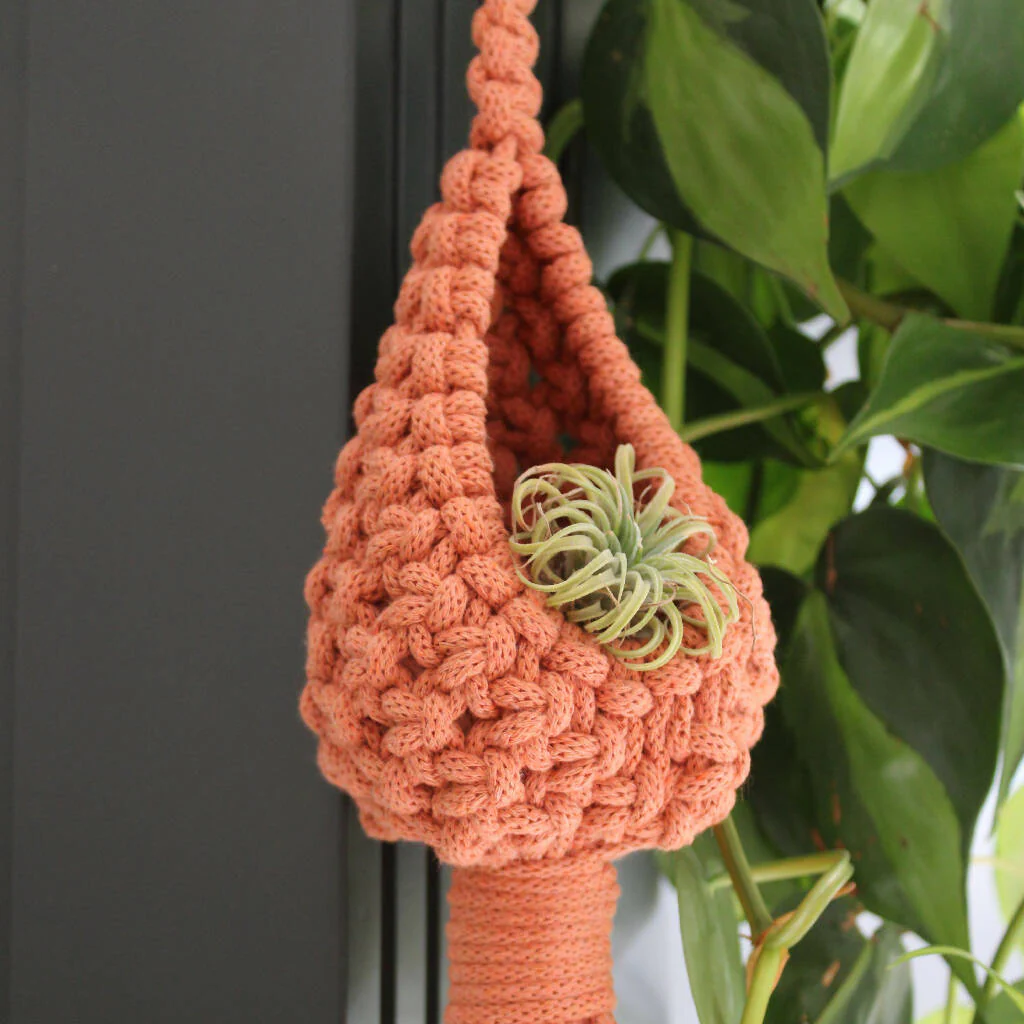 Plant Pod Hanger - Image 2