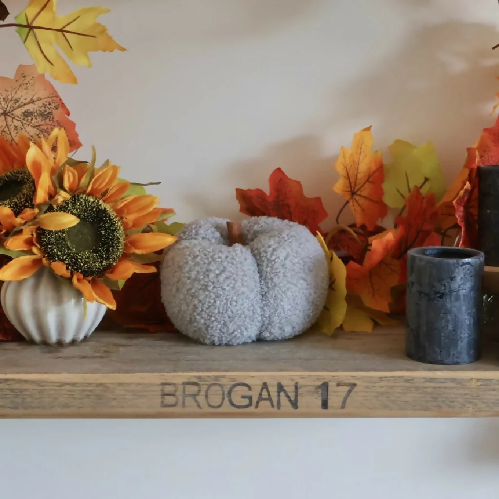 Plush Pumpkins - Image 5