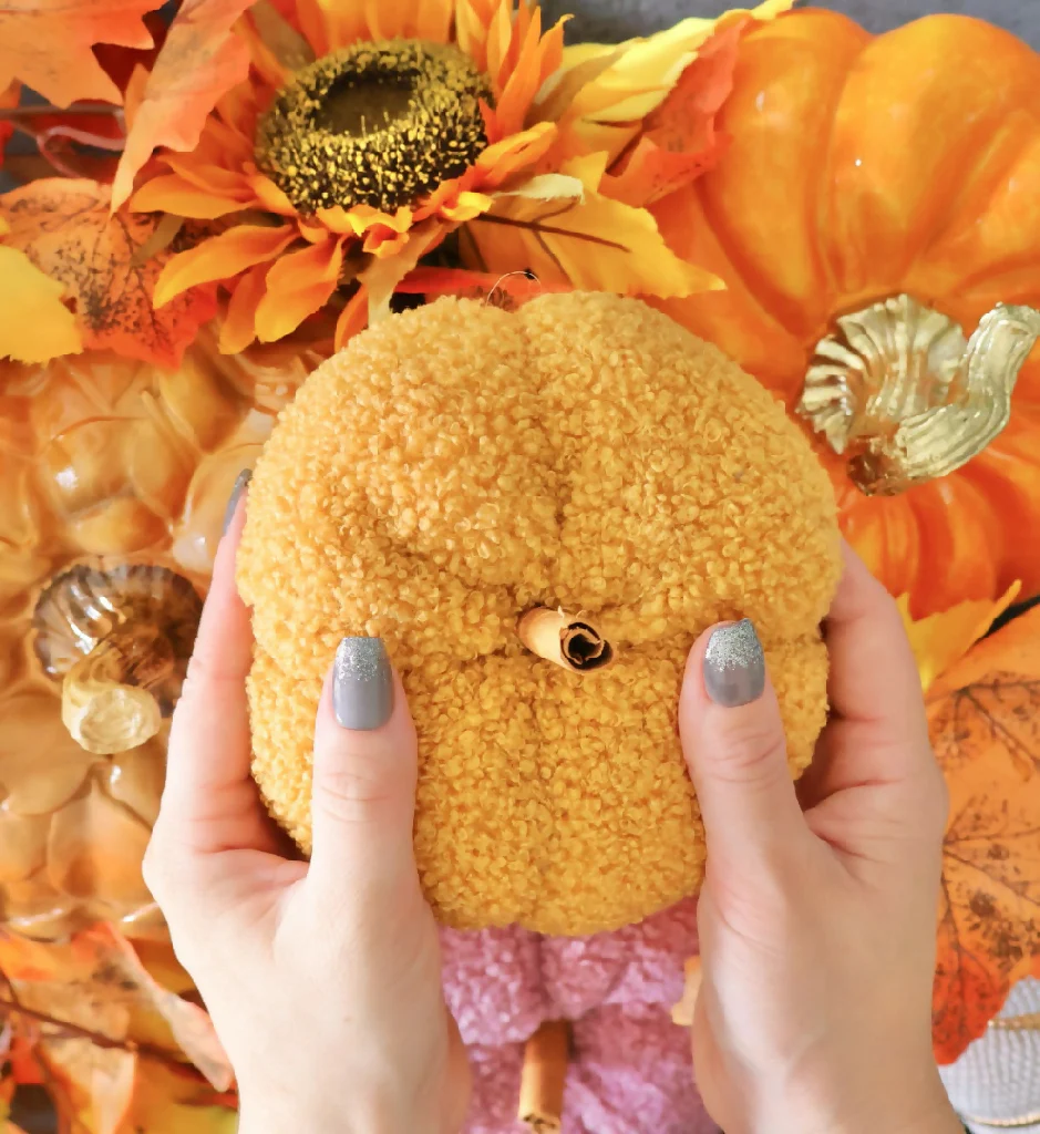 Plush Pumpkins - Image 8