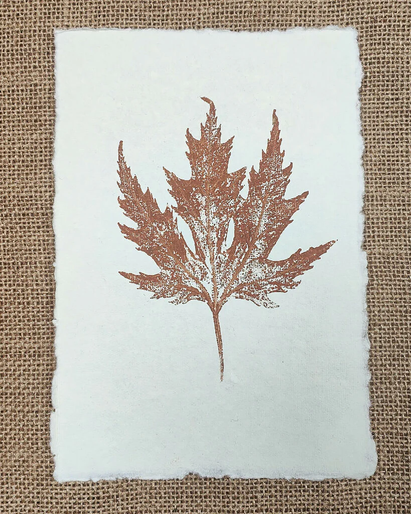 Set of 3 Original Mixed Leaf Prints - Image 3