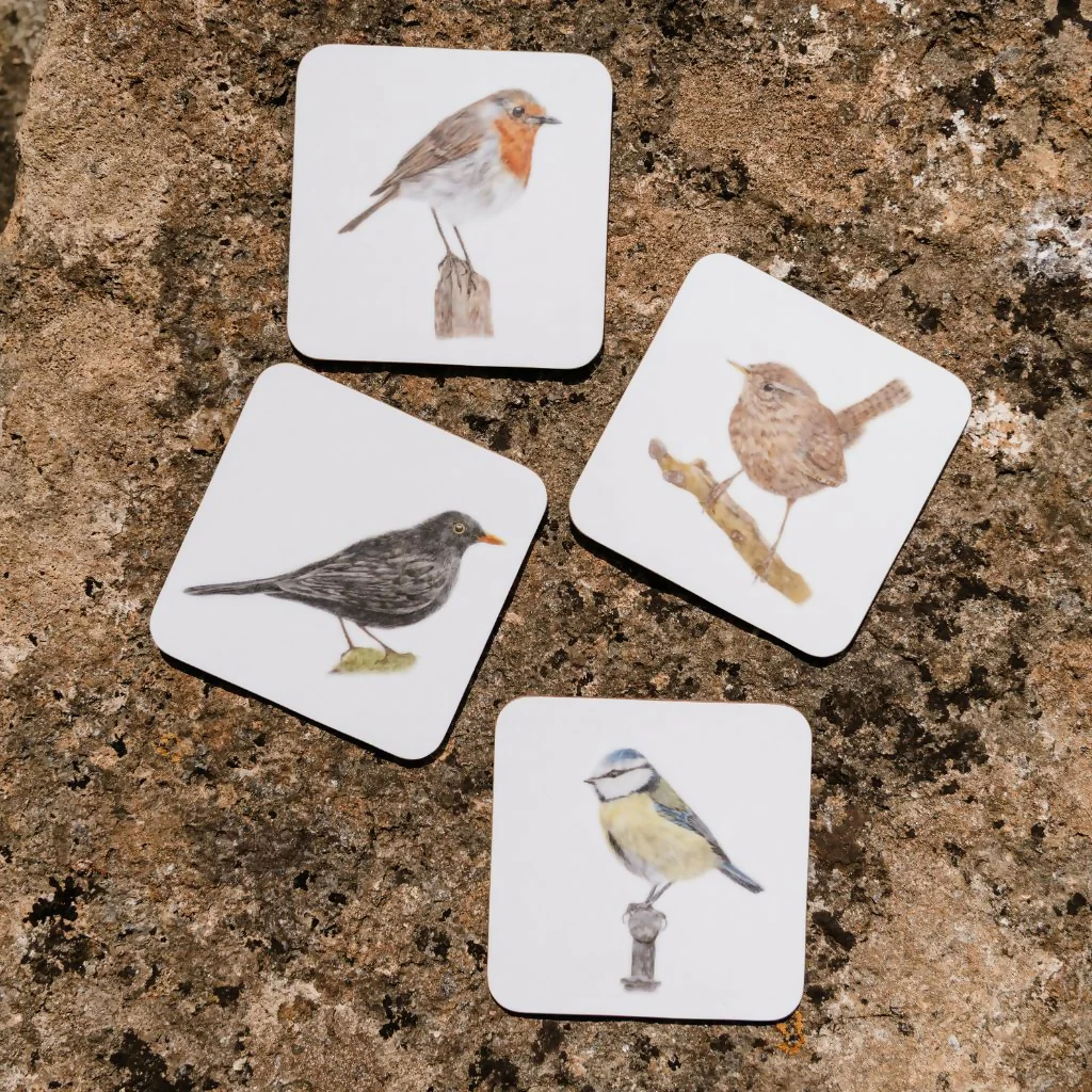 Set of 4 Robin Coasters - Image 2