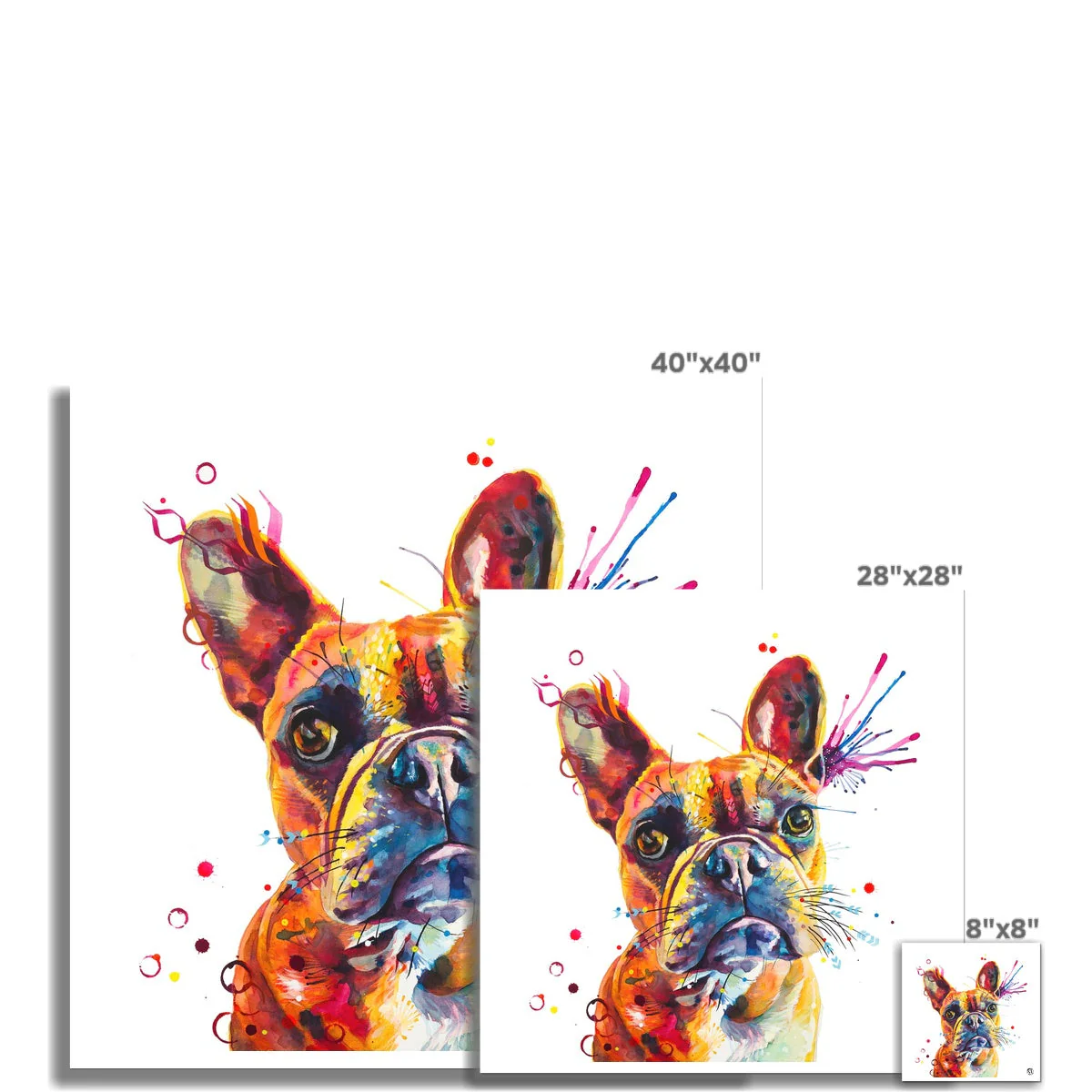Stella the Frenchie (French Bulldog) Fine Art Print - Image 3