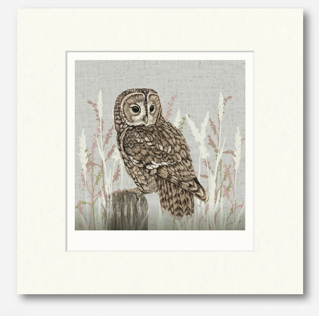 Tawny Owl -Signed and mounted Giclée Art Print - Image 3