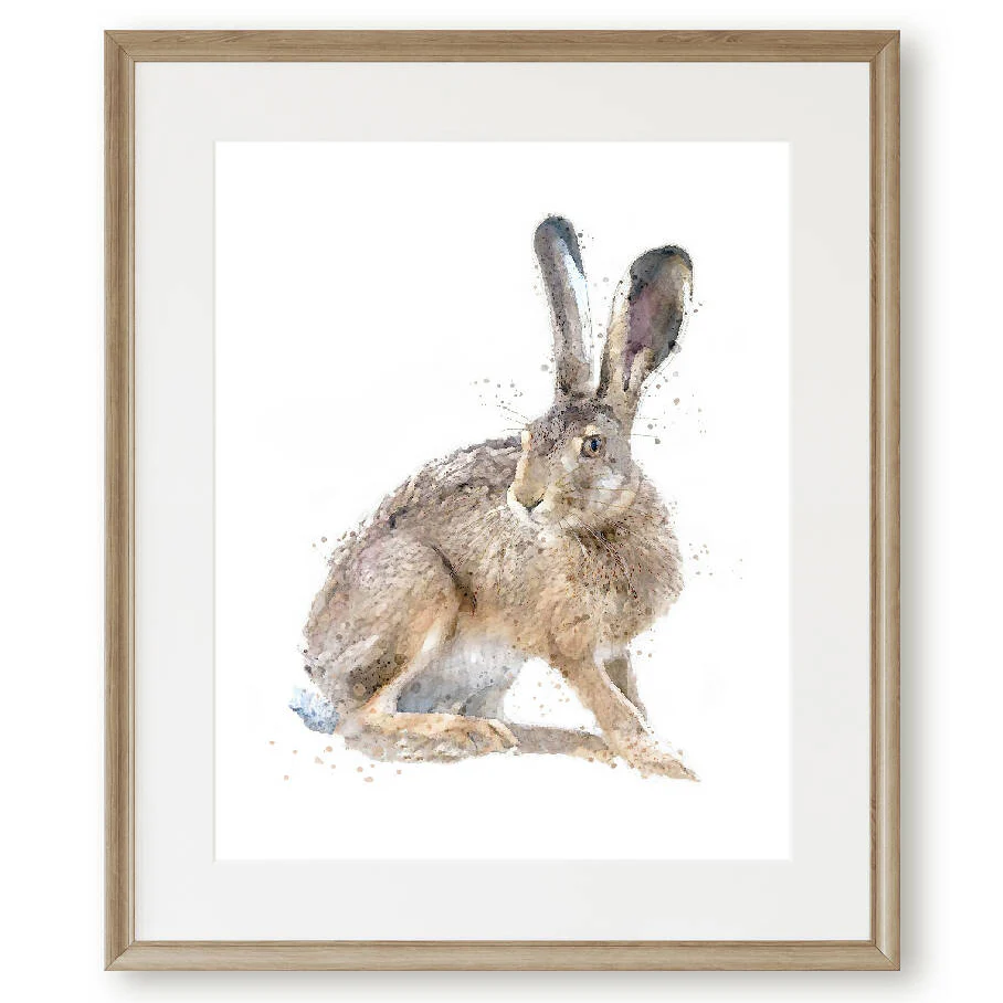 The Fine Art Hares Collection - Image 3