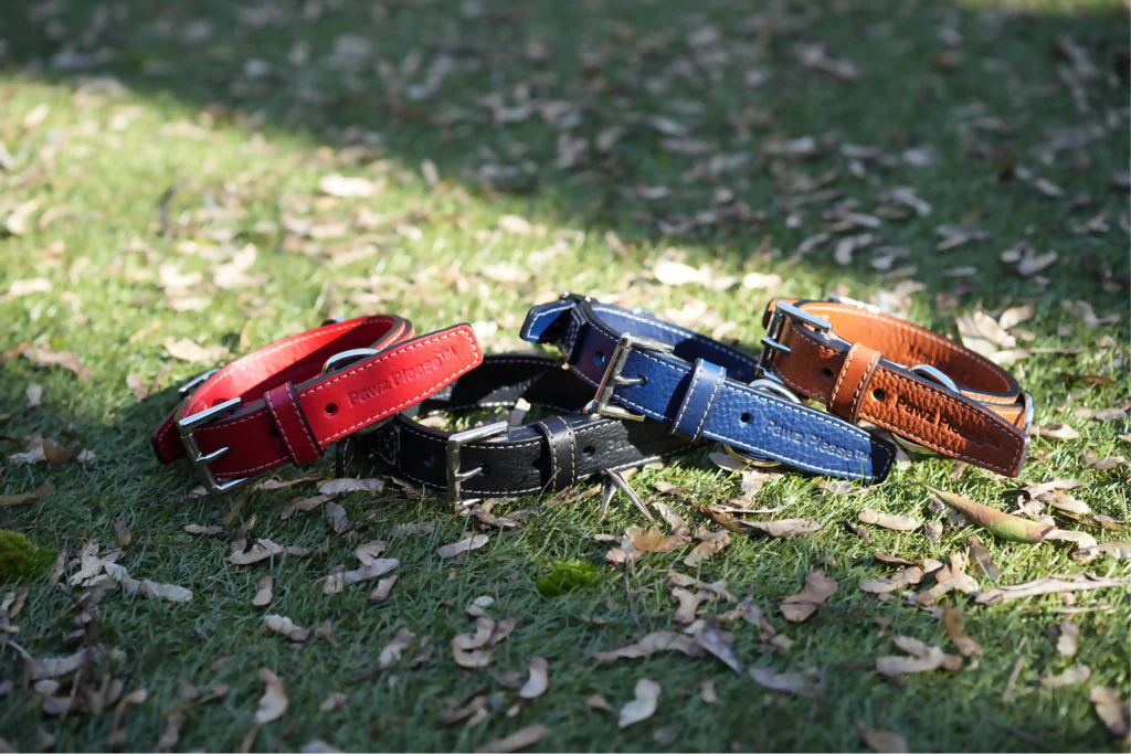 The Signature Leather Collection | Customisable Premium Italian Leather Collar in Black, Brown, Blue, or Red - Image 4