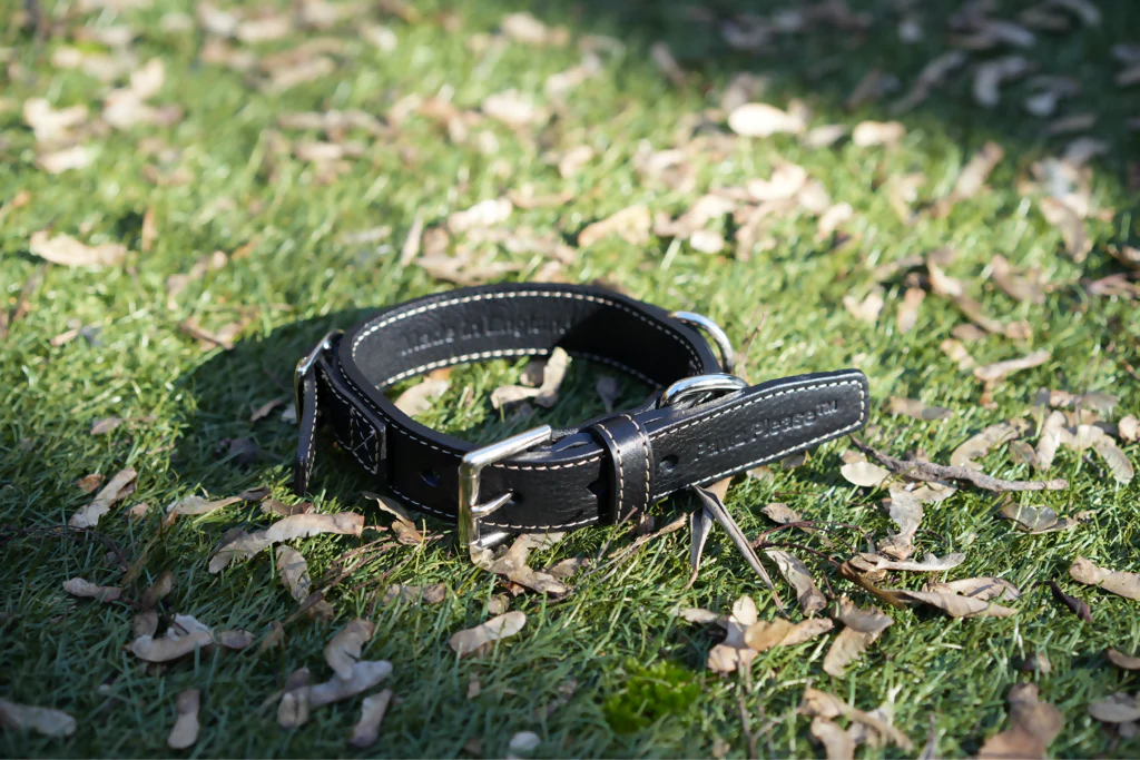 The Signature Leather Collection | Customisable Premium Italian Leather Collar in Black, Brown, Blue, or Red - Image 7