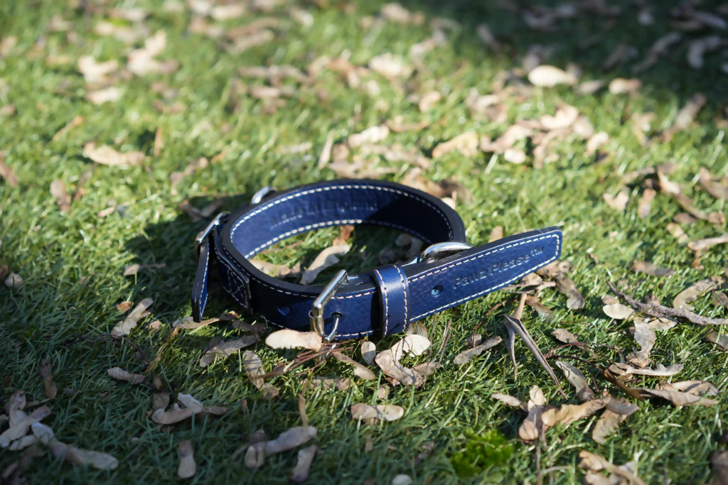 The Signature Leather Collection | Customisable Premium Italian Leather Collar in Black, Brown, Blue, or Red - Image 9