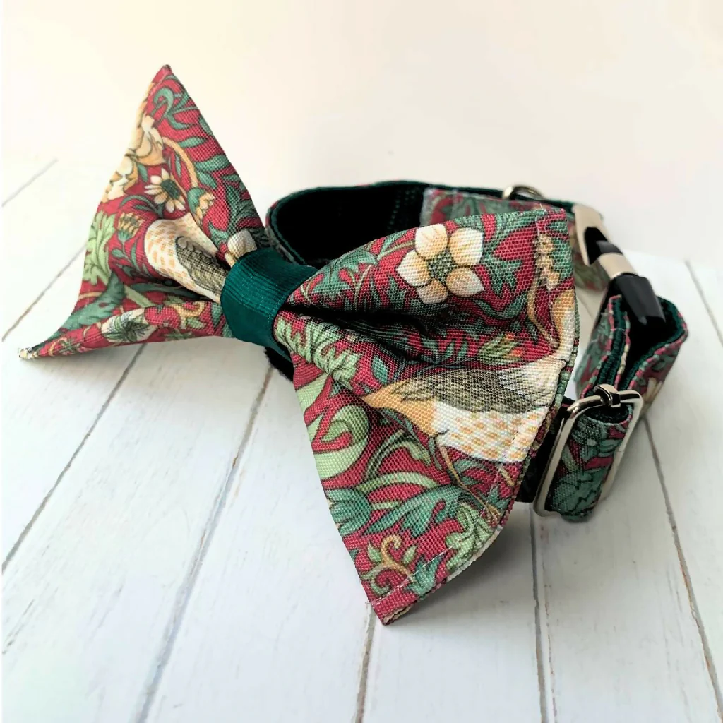 William Morris | "Strawberry Thief" | Dog Gift Set |5 Piece | Crimson - Image 5