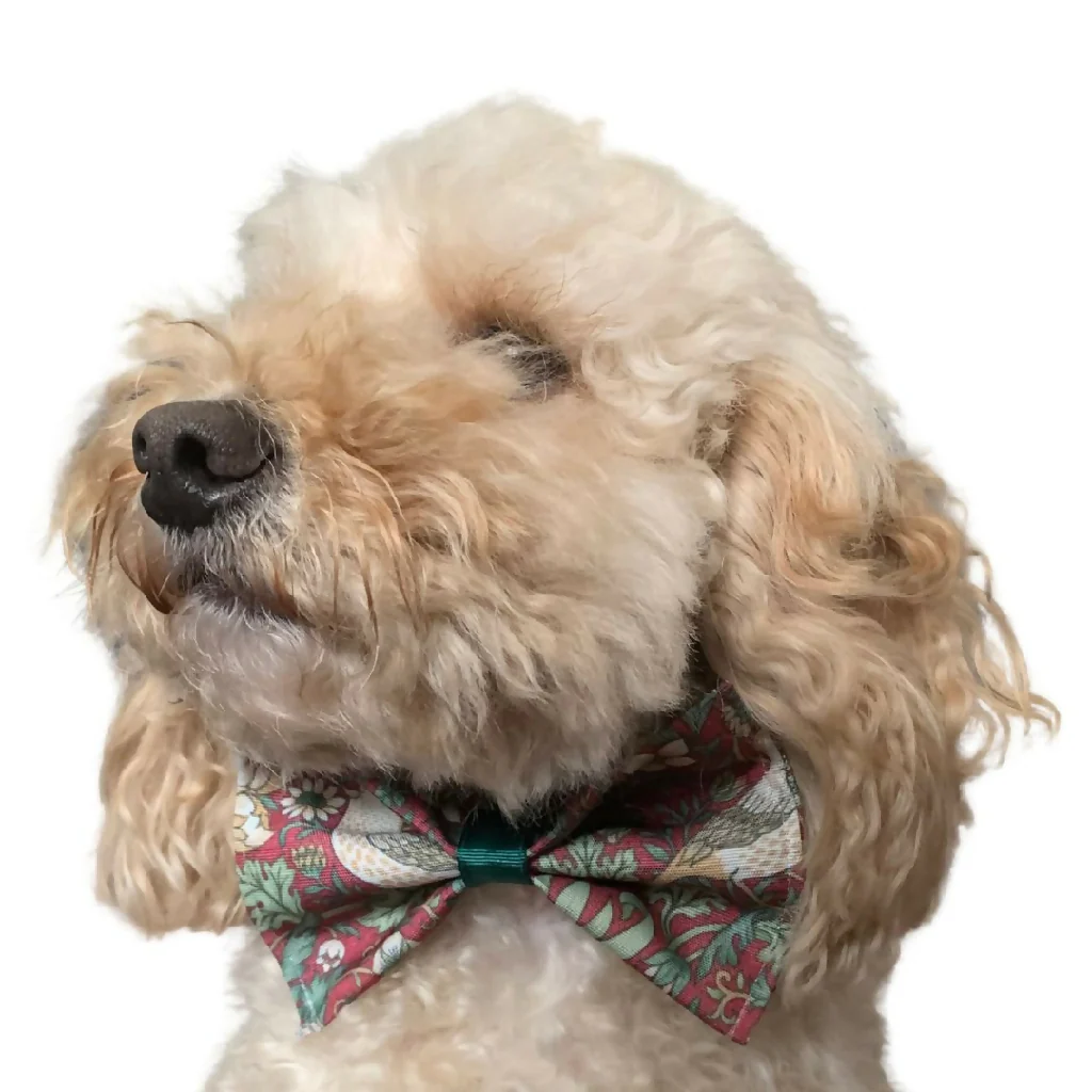William Morris | "Strawberry Thief" | Dog Gift Set |5 Piece | Crimson - Image 8