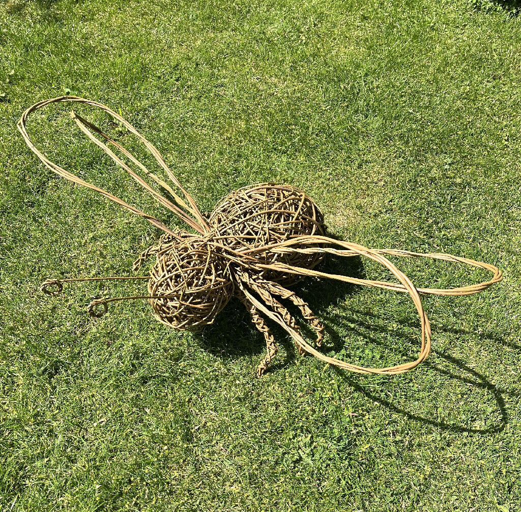 Willow Bee Kit