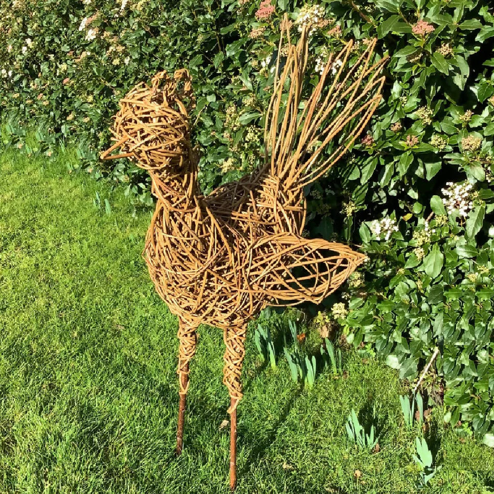 Willow Chicken Kit - Image 3
